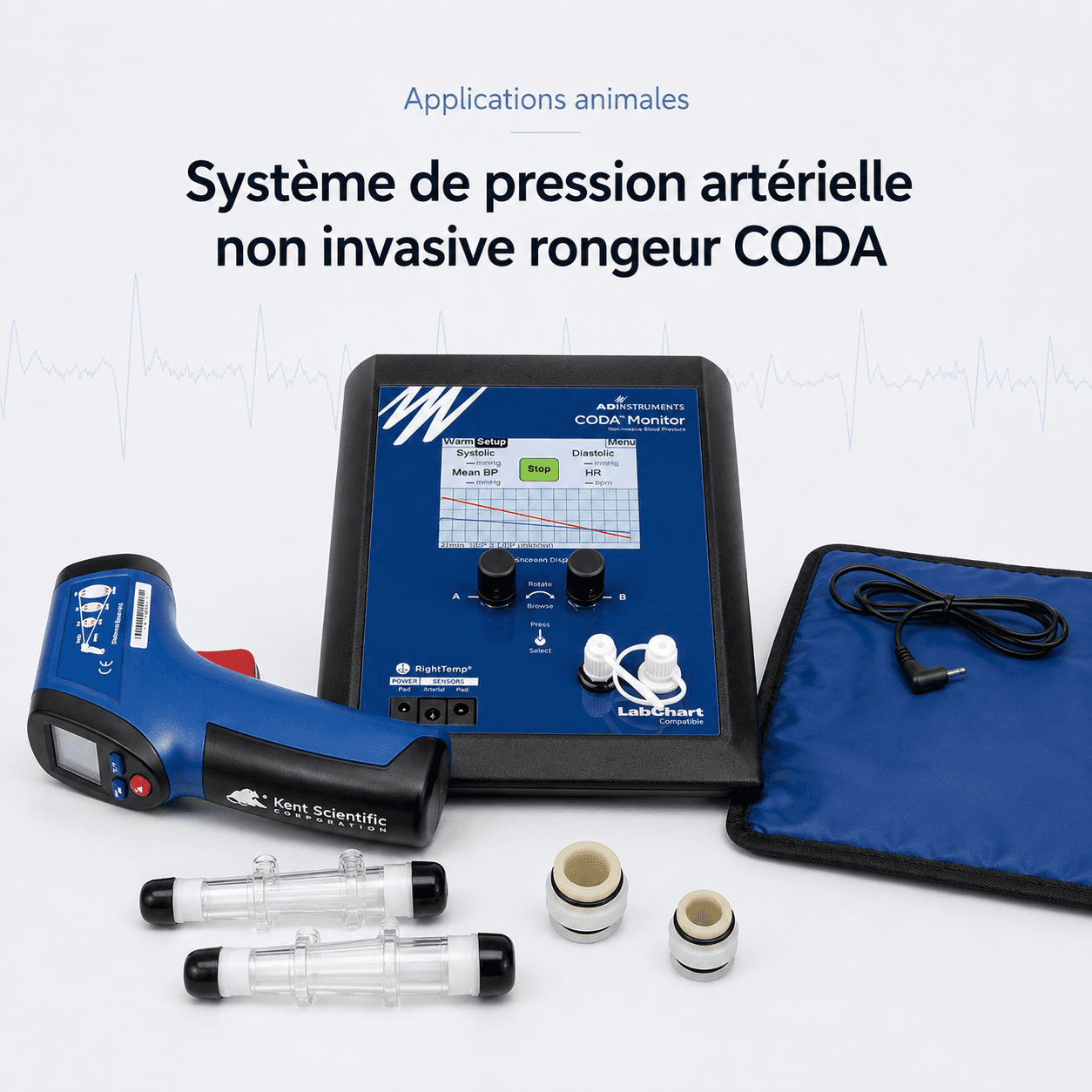 Système de pression artérielle non invasive rongeur CODA